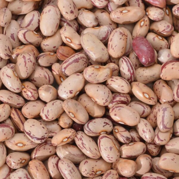ALUBIA PINTA BL 1KG