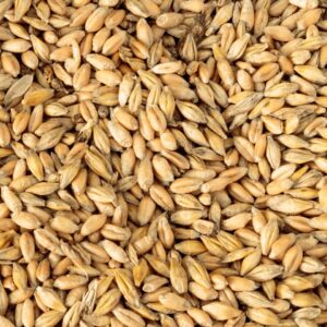 AVENA EN GRANO ECO BL 1KG