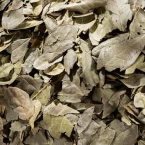 BOLDO HOJA BL 1 KG