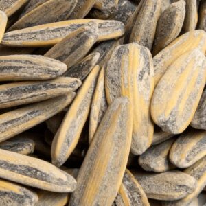 PIPA GIRASOL AGUASAL BL1KG