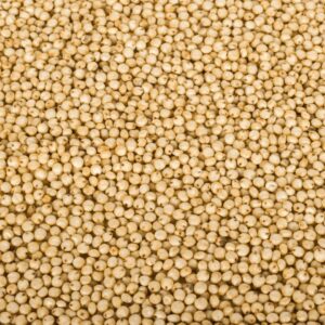 SEMILAS DE MIJO ECO BL 1KG