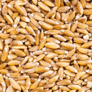 TRIGO EN GRANO ECO BL 1KG