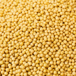 MOSTAZA EN GRANO BL 1 KG